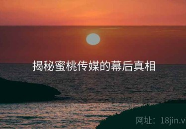 揭秘蜜桃传媒的幕后真相