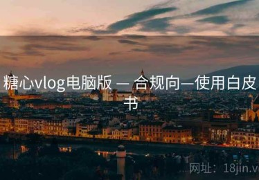 糖心vlog电脑版 — 合规向—使用白皮书