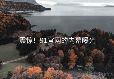 震惊！91官网的内幕曝光