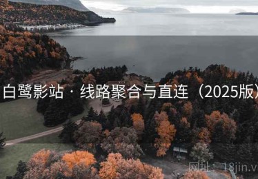 白鹭影站 · 线路聚合与直连（2025版）
