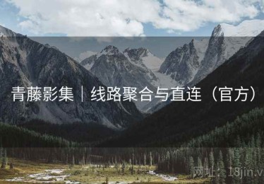 青藤影集｜线路聚合与直连（官方）