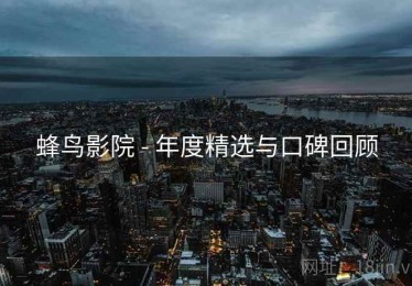 蜂鸟影院 - 年度精选与口碑回顾
