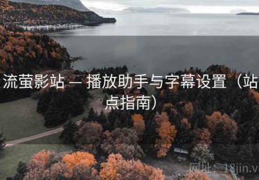 流萤影站 — 播放助手与字幕设置（站点指南）
