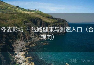 冬麦影坊 — 线路健康与测速入口（合规向）
