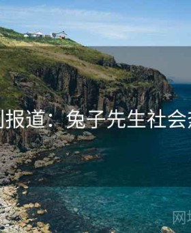 特别报道：兔子先生社会热议