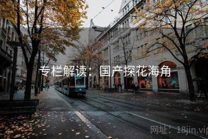 专栏解读：国产探花海角