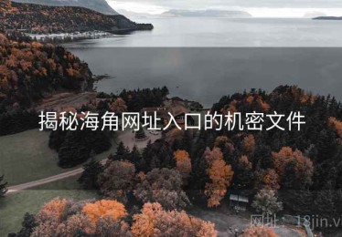 揭秘海角网址入口的机密文件