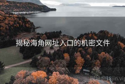 揭秘海角网址入口的机密文件