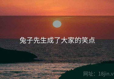 兔子先生成了大家的笑点