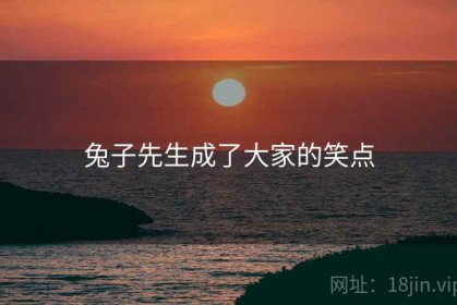 兔子先生成了大家的笑点
