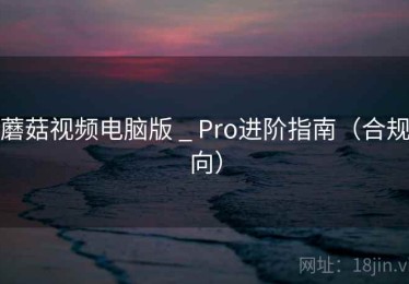 蘑菇视频电脑版 _ Pro进阶指南（合规向）