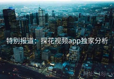 特别报道：探花视频app独家分析