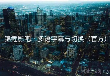 锦鲤影吧 · 多语字幕与切换（官方）