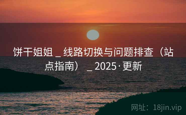 饼干姐姐 _ 线路切换与问题排查（站点指南） _ 2025·更新