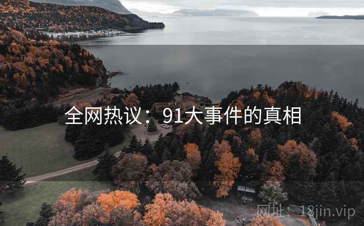 全网热议：91大事件的真相