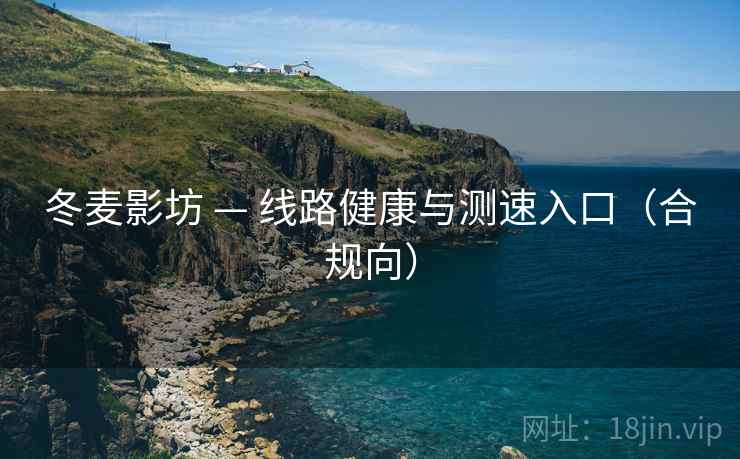 冬麦影坊 — 线路健康与测速入口（合规向）