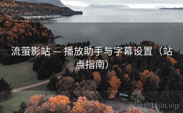 流萤影站 — 播放助手与字幕设置（站点指南）