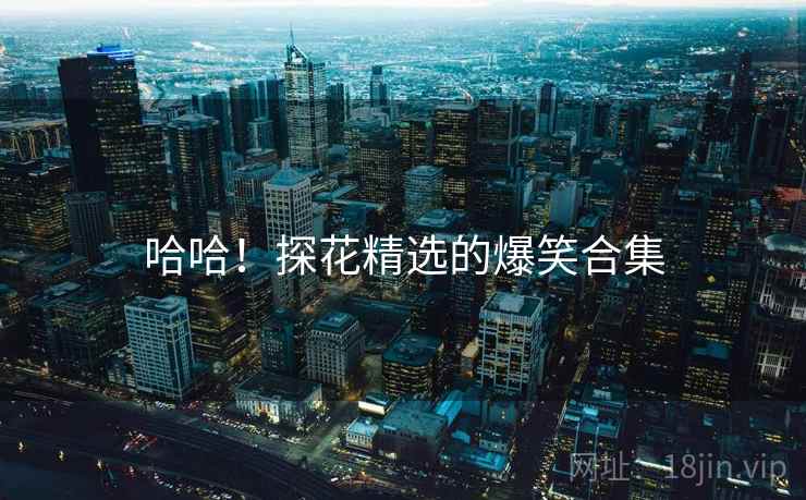 哈哈！探花精选的爆笑合集